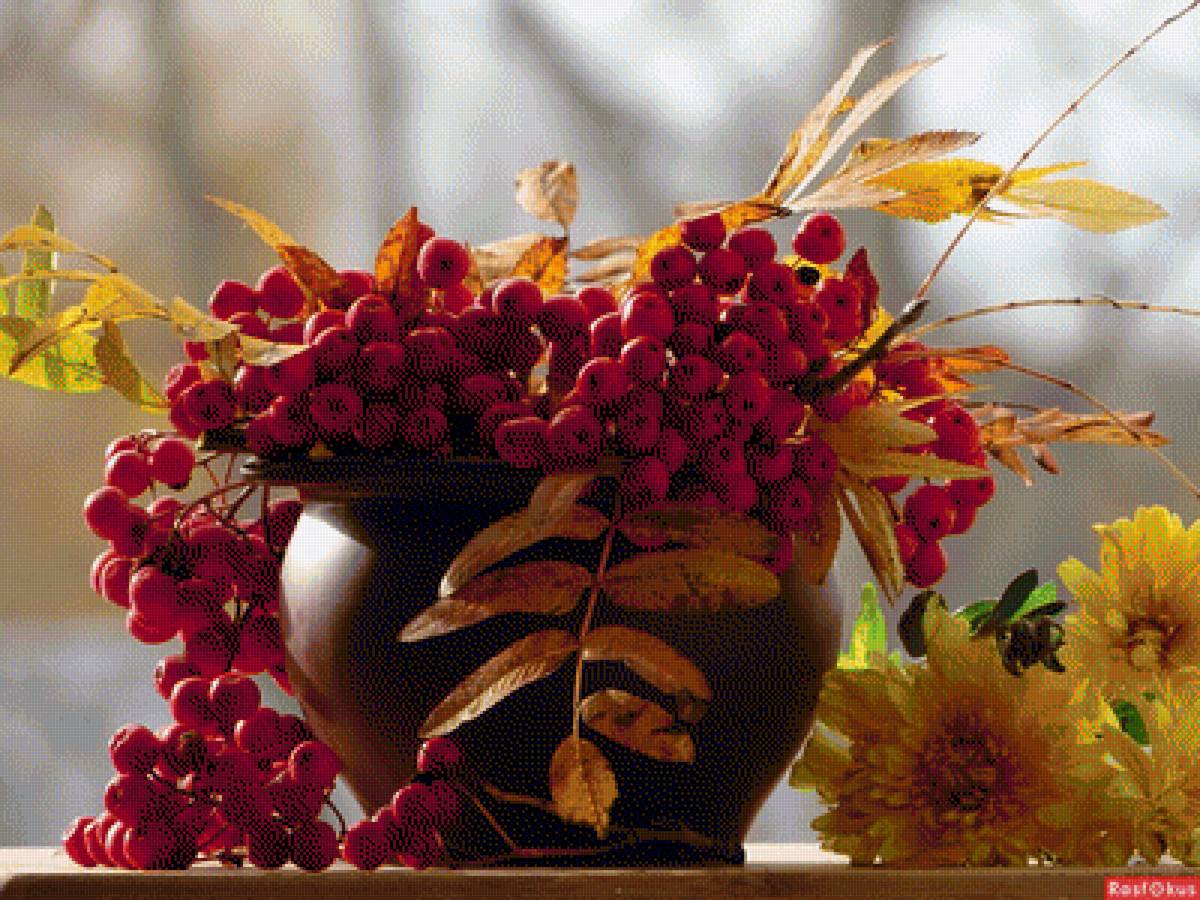 Осенний натюрморт - натюрморт, рябина, цветы - предпросмотр