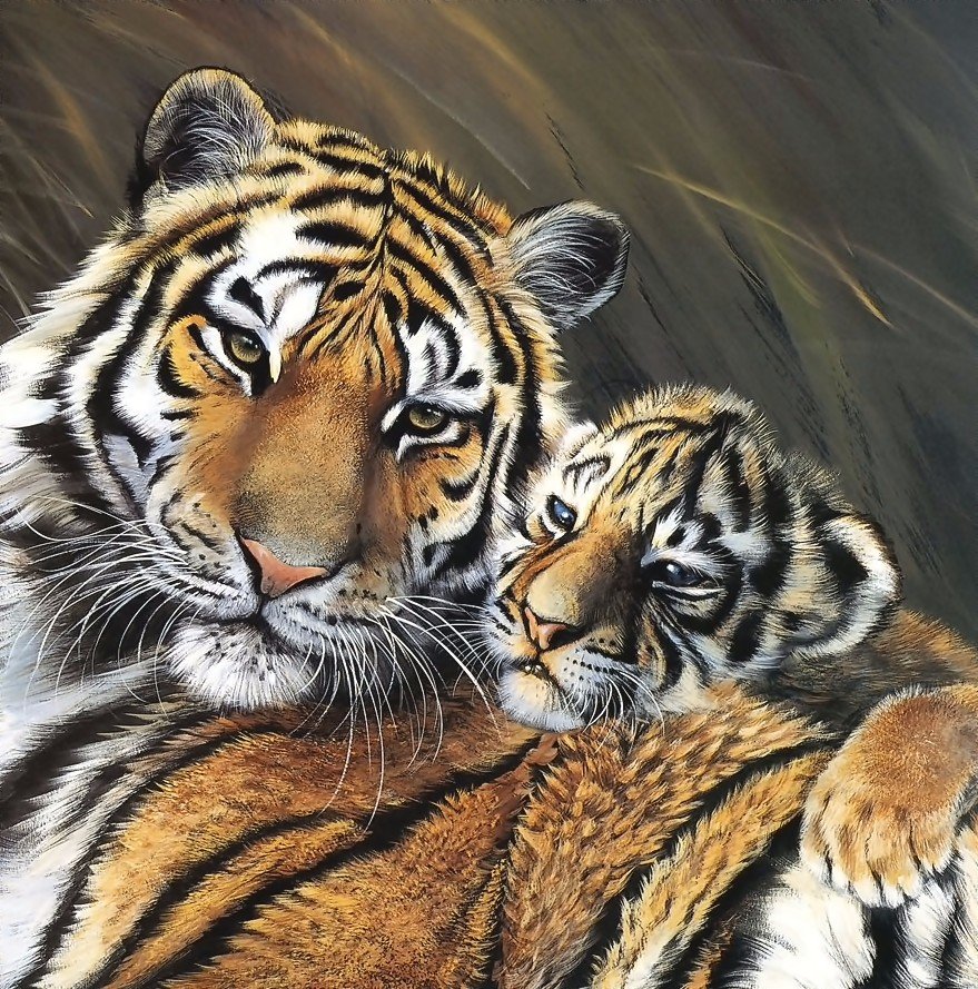 тигры - тигры, мир животных - оригинал