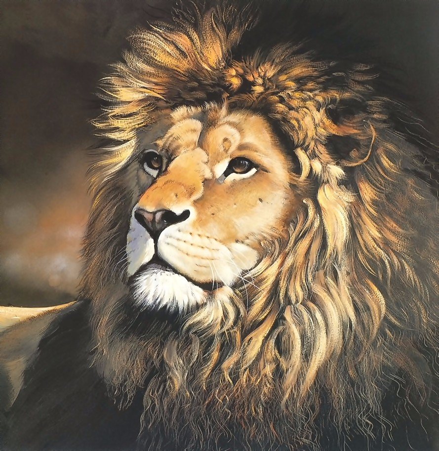 лев - лев, мир животных - оригинал