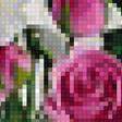 Предпросмотр схемы вышивки «Розы» (№2033586)