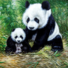 Схема вышивки «Panda Family.»