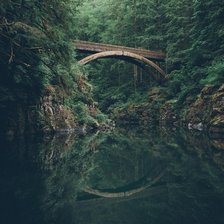 мост в лесу