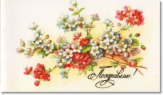 Цветущая ветка - ветка, цветы, цветущая ветка, открытка, поздравляю, весна - оригинал