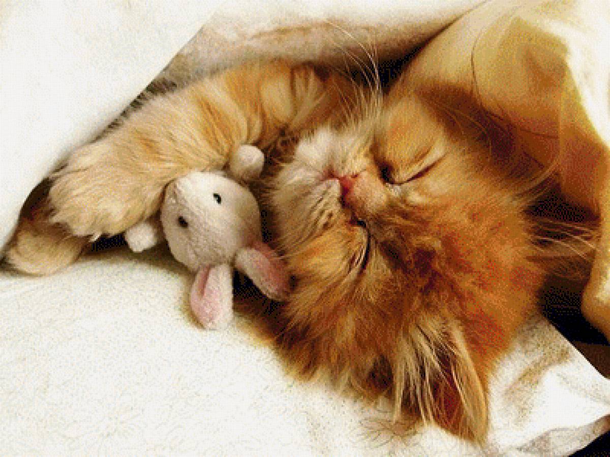 Сладкий сон - кошки, животные - предпросмотр
