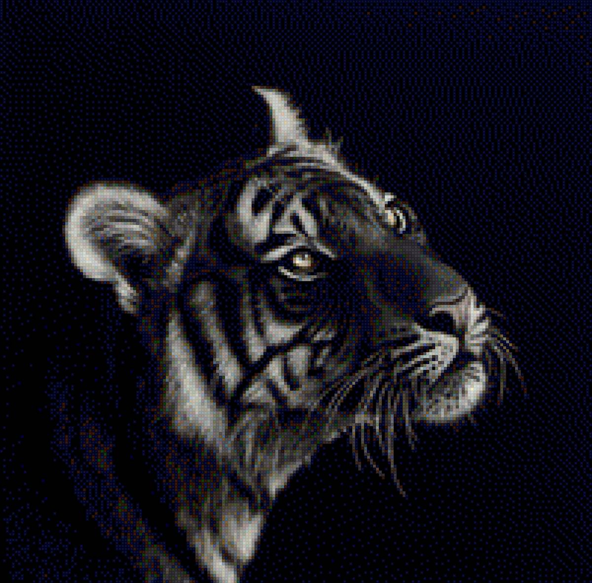 Взгляд тигра - картина, дикий зверь, тигр, хищник, взгляд, профиль, зверь - предпросмотр