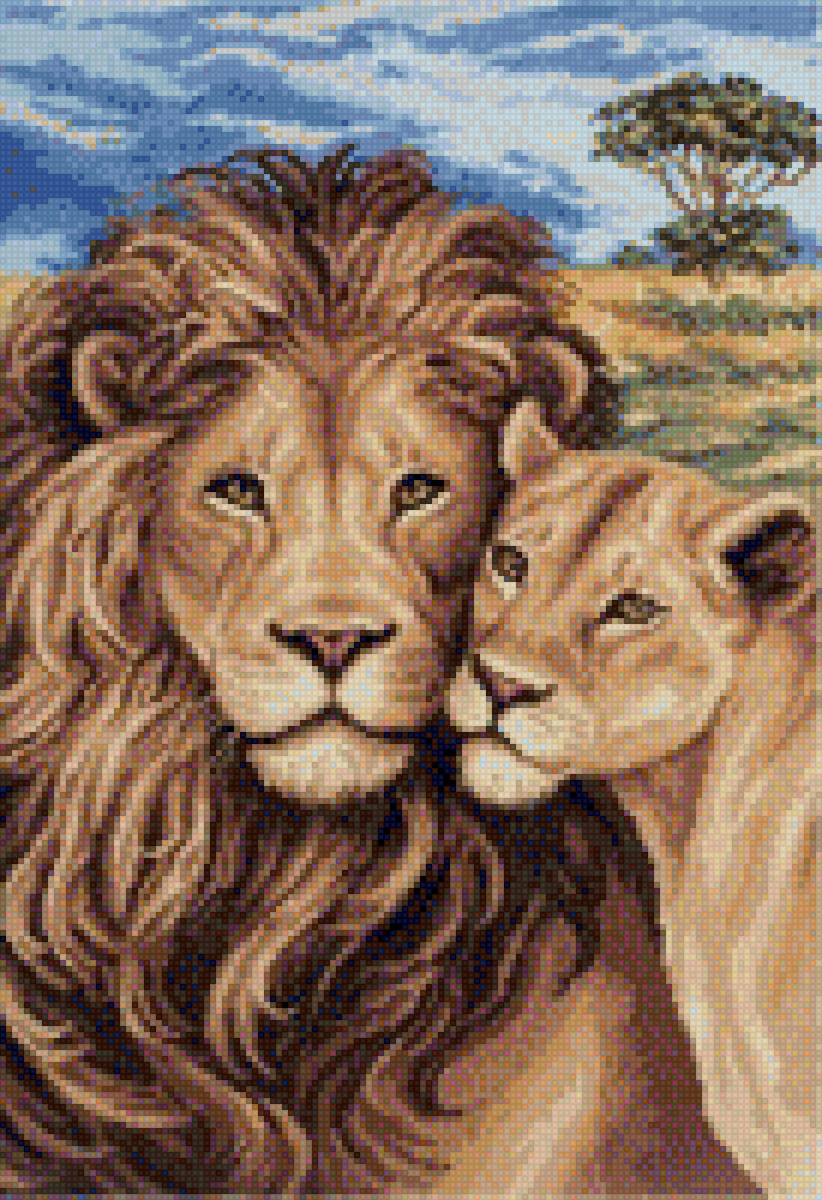 Львиная пара - природа, львы, пара львов, звери, саванна, дикие звери, лев - предпросмотр