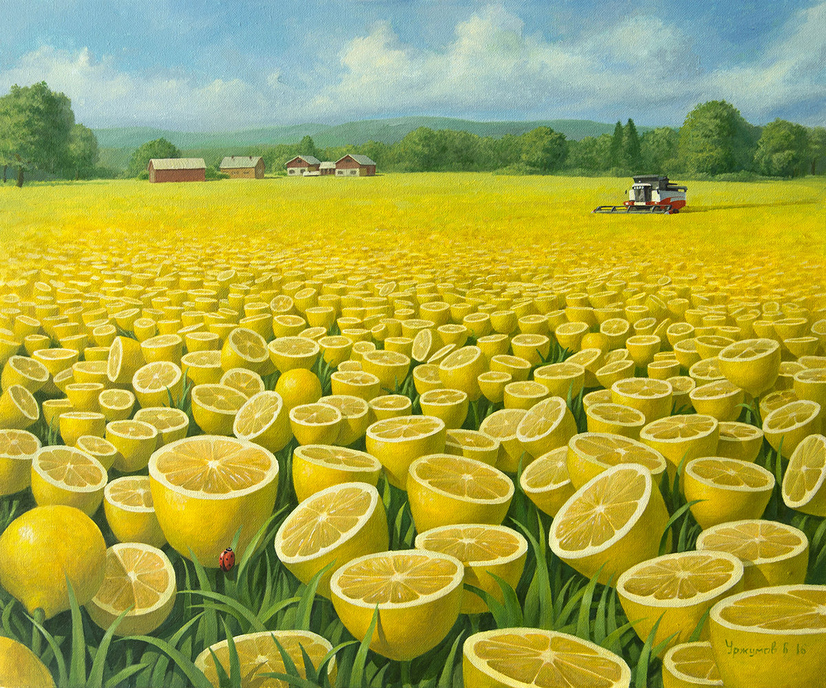 Лимонное поле - поле, лимоны, сельская местность - оригинал