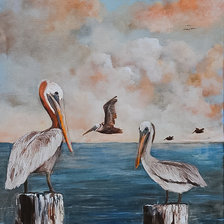 Louisiana Pelicans.