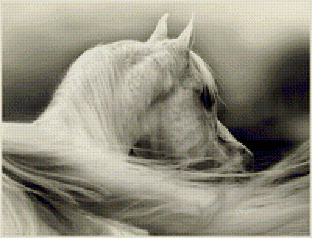 Лошадь белая - спина, фото, лошадь, белая, животное - предпросмотр