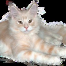 Оригинал схемы вышивки «Мейнкун кошка» (№2043421)