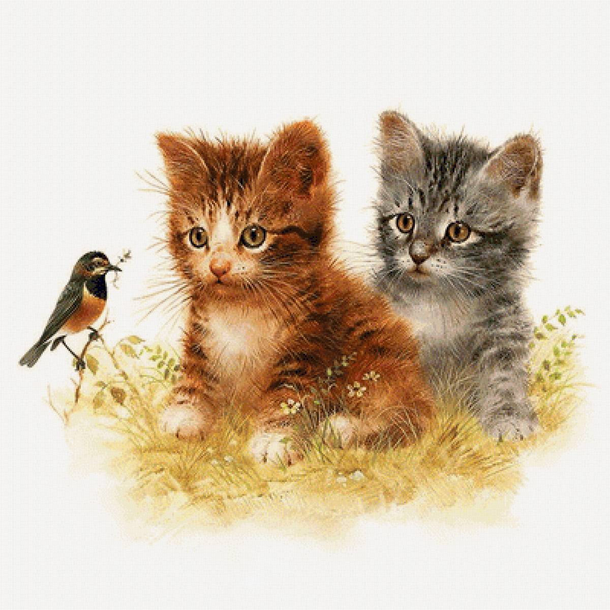Малыши-милаши - домашние животные, птичка, котенок, кошки, котята, птица, коты - предпросмотр