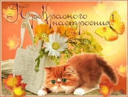 Прекрасное настроение - поздравление, открытка, котик, листья - оригинал