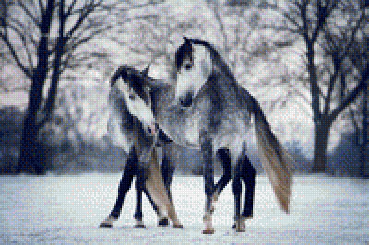 Пара рысаков зимой - лошади, конь, пара, картина, зима, рысаки, животные - предпросмотр