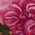 Предпросмотр схемы вышивки «kvety,vtaci» (№2045510)