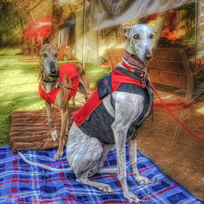 Схема вышивки «Two Greyhounds.»