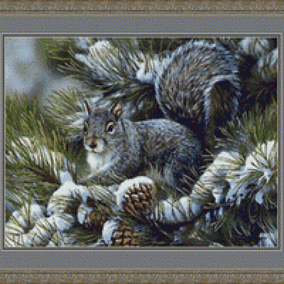 Белка зимой - лес картинка, белка, животное, фото, грызун - предпросмотр