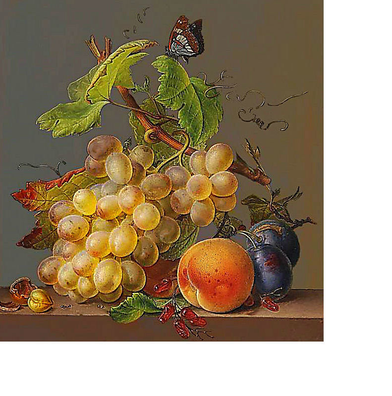 Натюрморт - сливы, фрукты, персики, виноград - оригинал