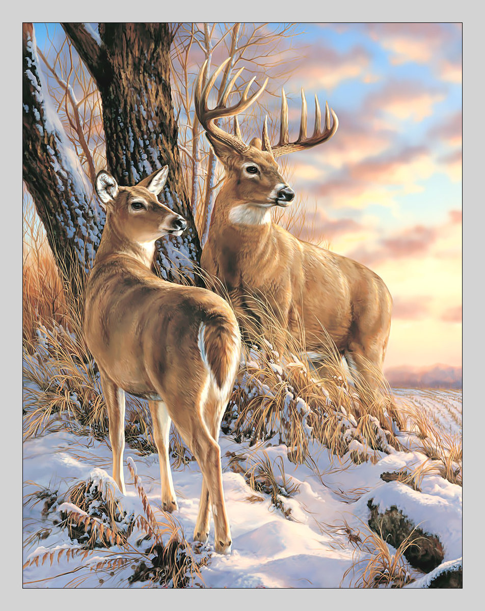 Олени зимой. - олени, лес, снег, животные, зима, живопись - оригинал