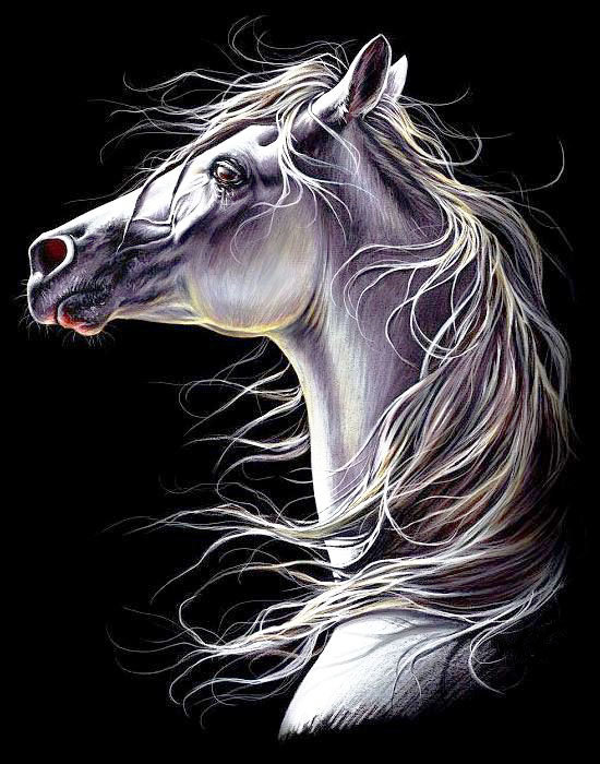 На чёрном фоне - конь, лошадь, портрет - оригинал
