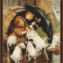 Щенки и дети под дождем