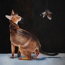 Оригинал схемы вышивки «Абиссинская кошка и ночная бабочка» (№2053697)