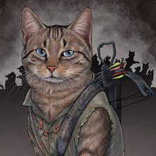 Коты-воины