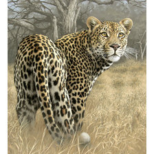 Оригинал схемы вышивки «Леопард.» (№2056763)