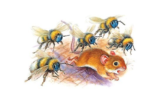 мышка и пчёлы - мышка, для детей, пчелы - оригинал