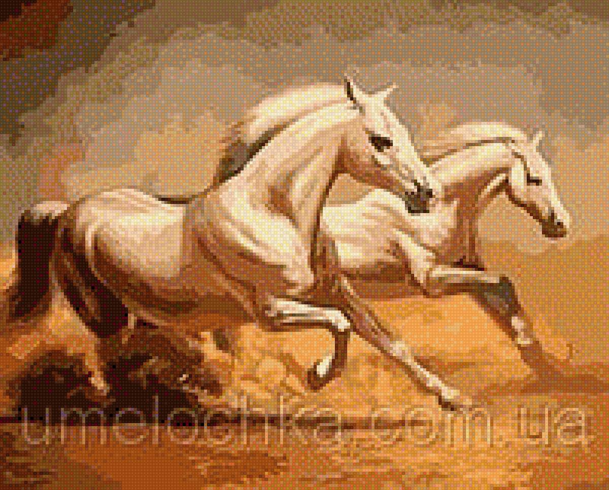 Кони белые - пара, лошади, животные, кони, картина - предпросмотр