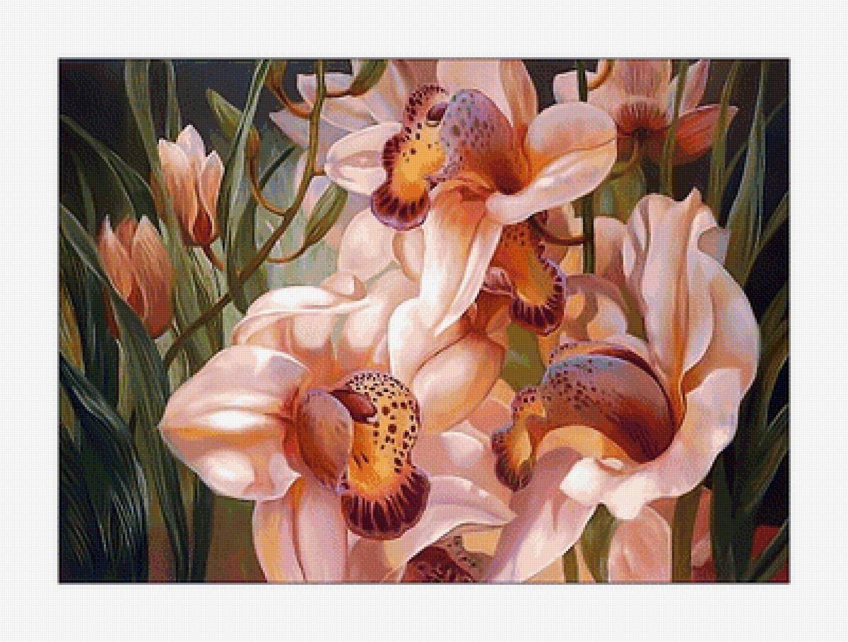 Орхидеи. - орхидеи, живопись, цветы - предпросмотр