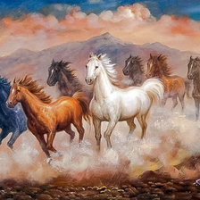 Wild Horses Mustangs Herd Southwest.