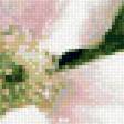 Предпросмотр схемы вышивки «Винтажные цветы» (№2064152)