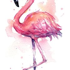 Фламинго розовый