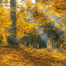 Золотая осень.