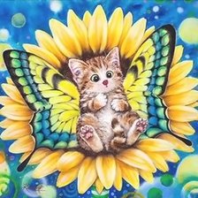 котенок - бабочка