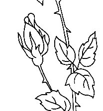 Оригинал схемы вышивки «Контурная роза» (№2066825)
