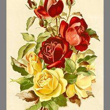 Оригинал схемы вышивки «Серия "Розы".» (№2073899)