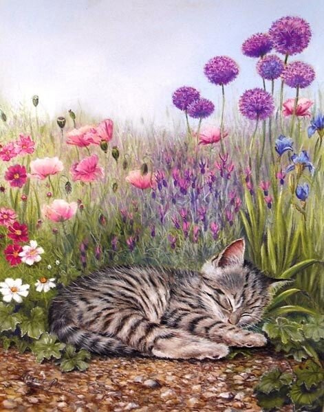 сладкий сон - цветы, котенок, поле - оригинал