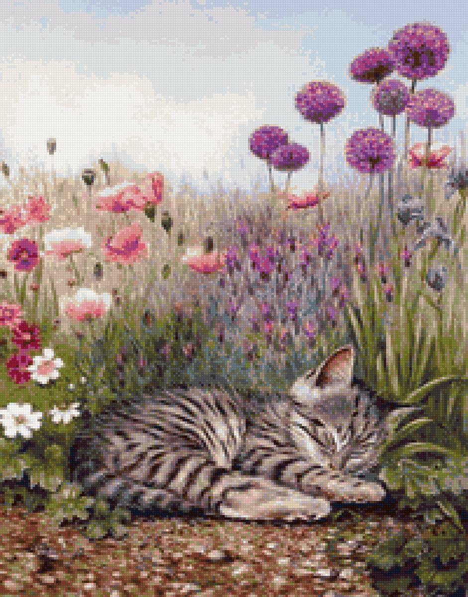 сладкий сон - поле, цветы, котенок - предпросмотр