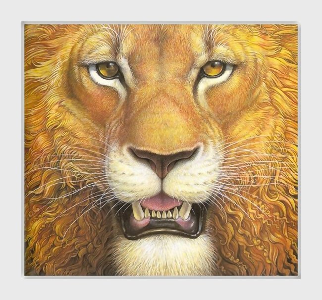 №2078777 - львы, животные, хищники - оригинал