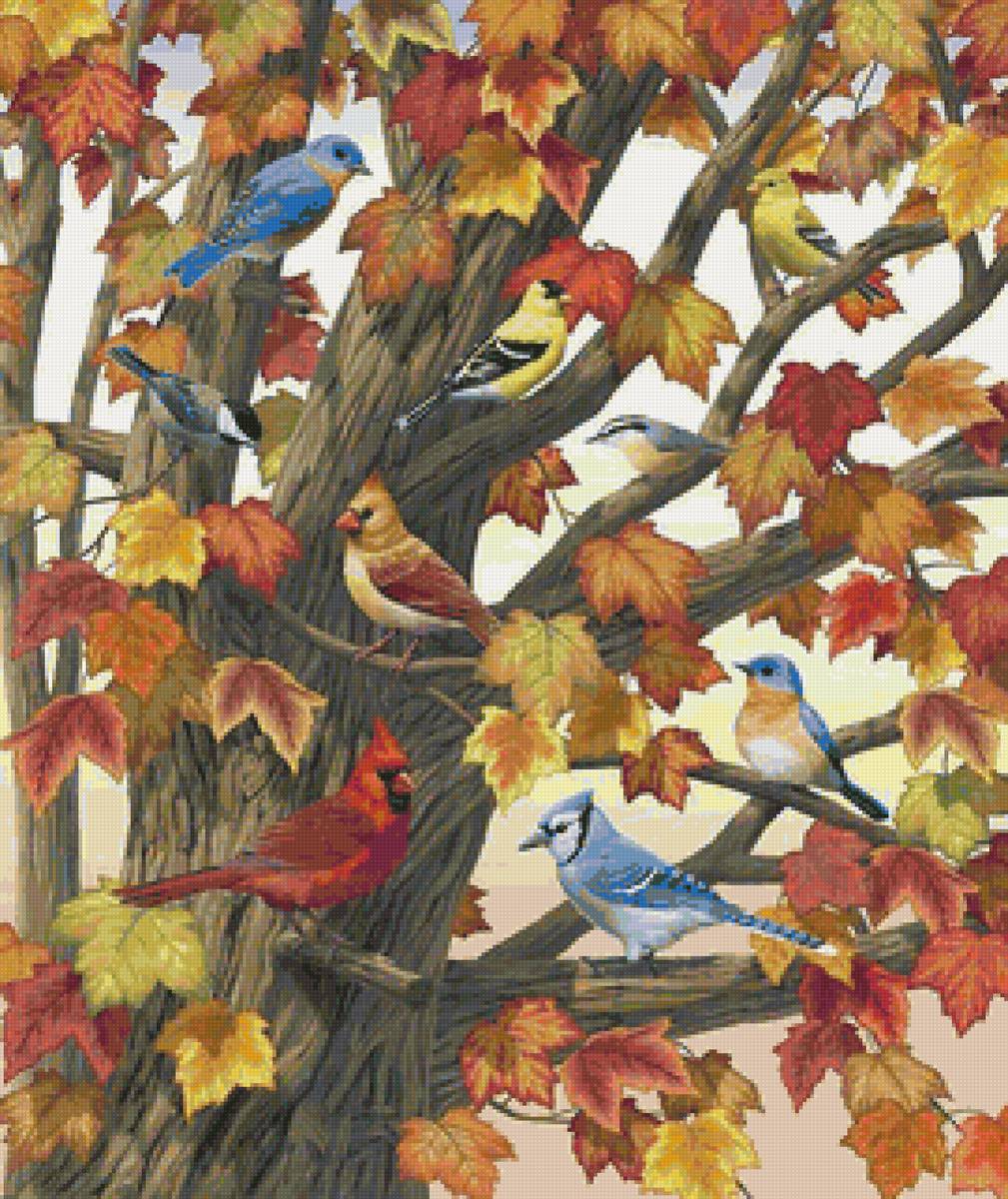 Птичий базар - птицы, дерево, листья, осень - предпросмотр
