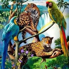 Схема вышивки «фауна природа птицы леопарды»