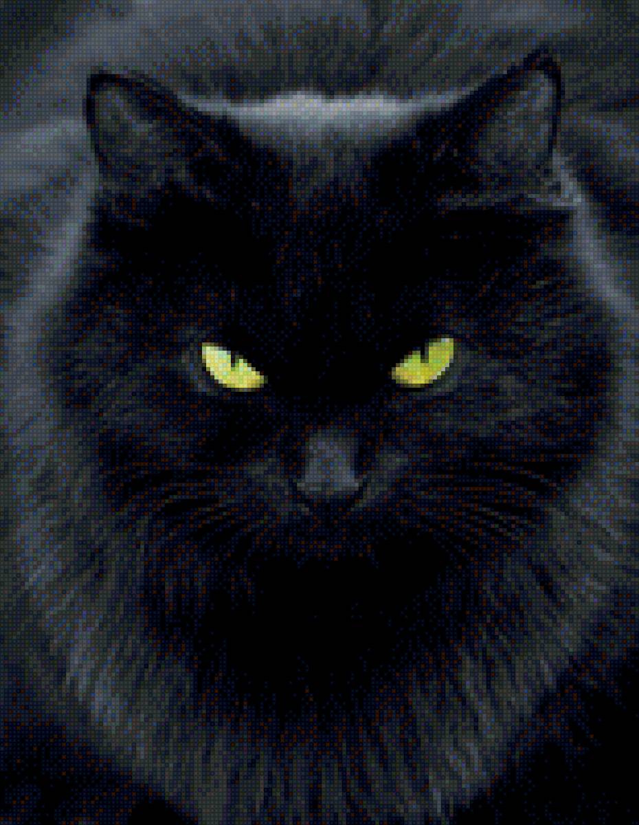 черный кот - коты, кошки, домашние животные - предпросмотр
