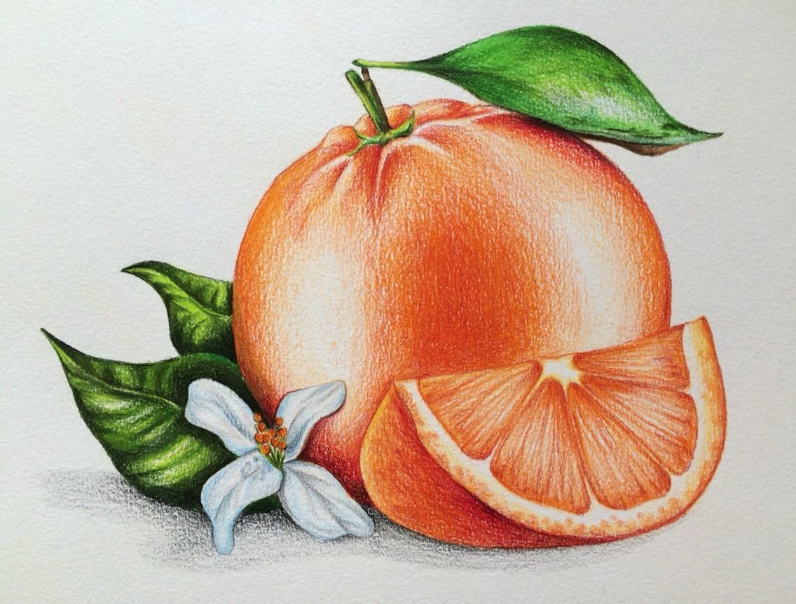 Апельсин - фрукты - оригинал