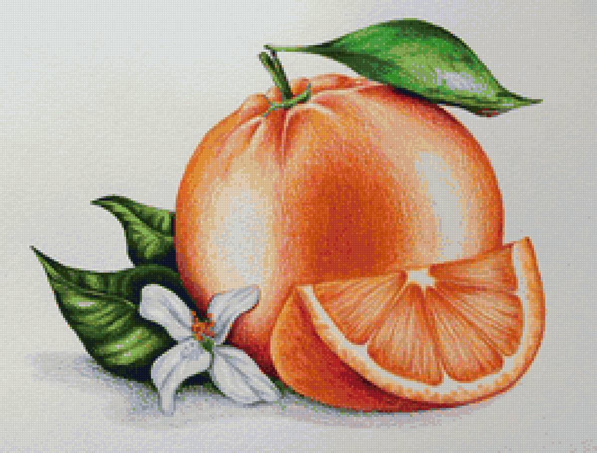 Апельсин - фрукты - предпросмотр