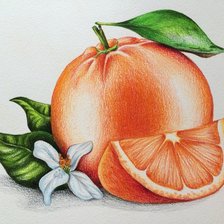 Оригинал схемы вышивки «Апельсин» (№2088498)
