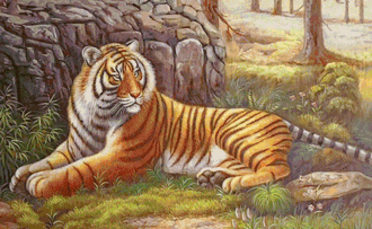 Тигр - тигр, хищники, животные - предпросмотр