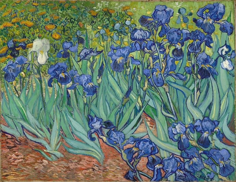«Ирисы» Винсент Ван Гог - цветы, ирисы, ван гог, винсент ван гог - оригинал