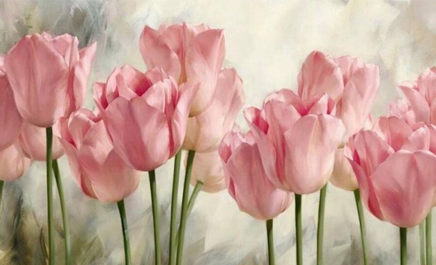Тюльпаны - тюльпан, цветы - оригинал