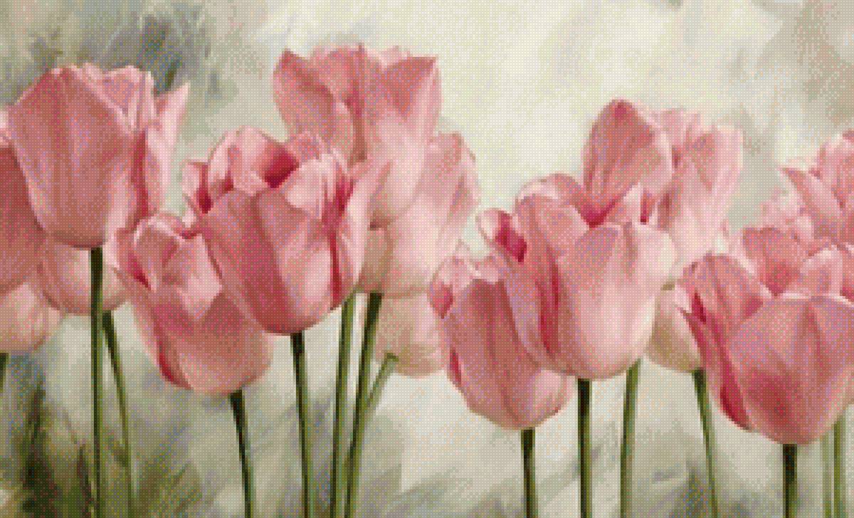 Тюльпаны - тюльпан, цветы - предпросмотр
